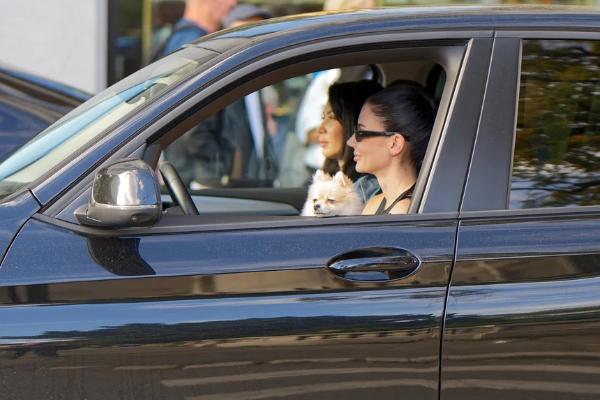 Who Gets the Insurance Check When a Car is Totaled? Understand Your Rights and Options