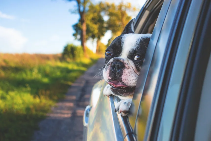 What to Do After a Car Accident with an Uninsured Driver: 5 Essential Steps